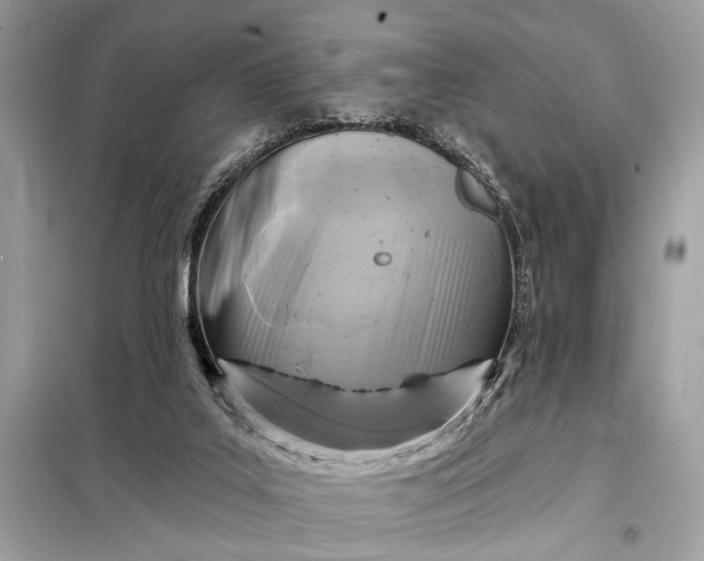 X0000098170019200805081011