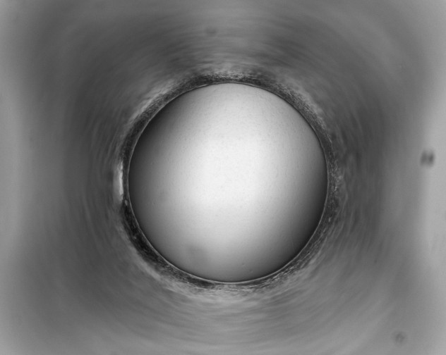 X0000098170020200805081011