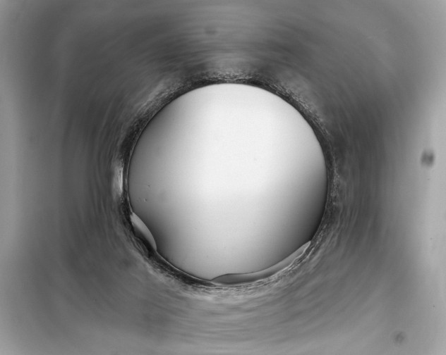 X0000098170021200805081011