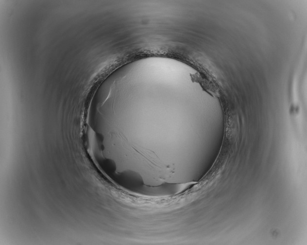 X0000098170023200805081011