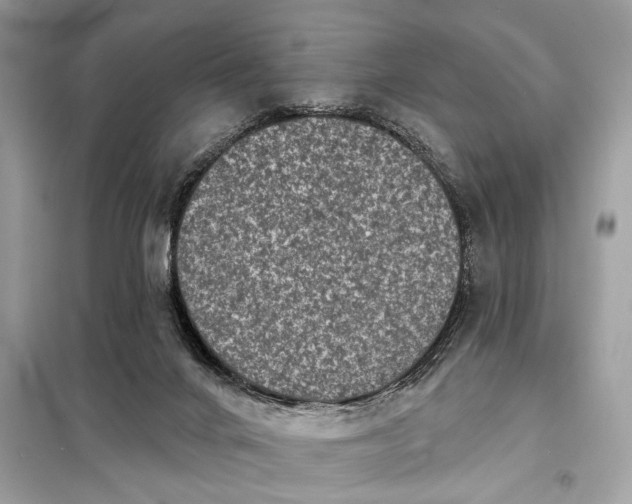 X0000098170024200805081011