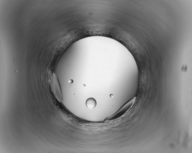 X0000098170025200805081011