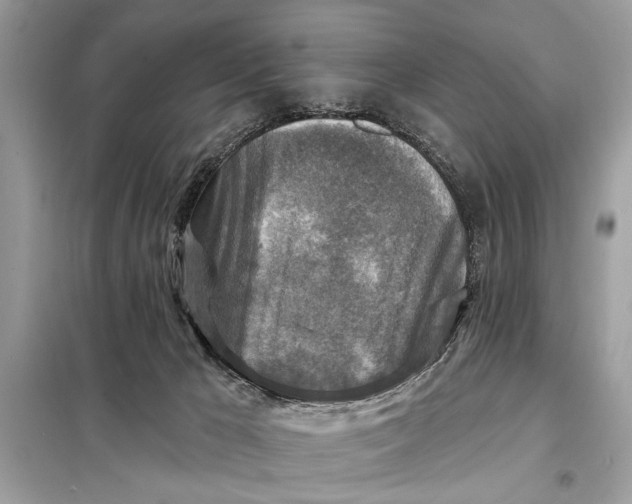 X0000098170029200805081011