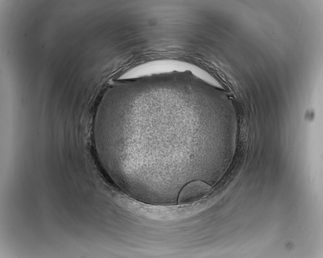 X0000098170030200805081011