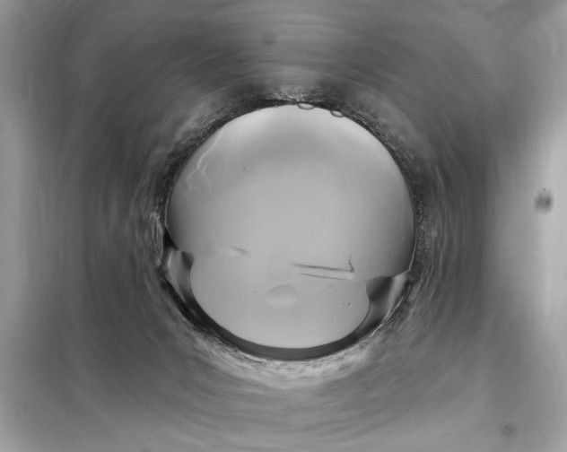 X0000098170031200805081011