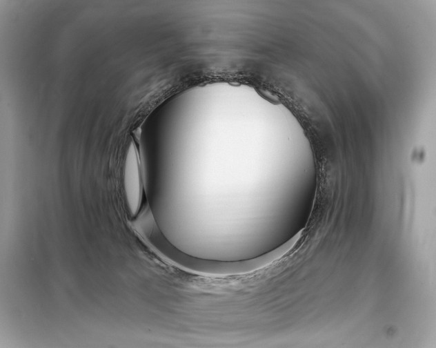 X0000098170033200805081011