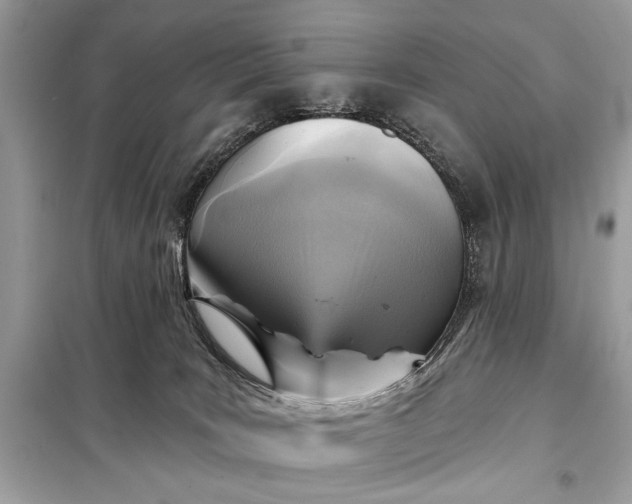 X0000098170035200805081011