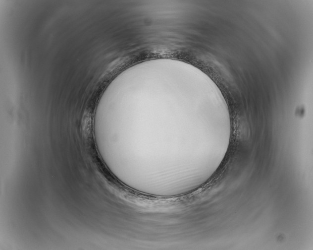 X0000098170036200805081011