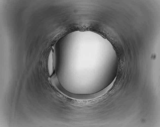 X0000098170037200805081011