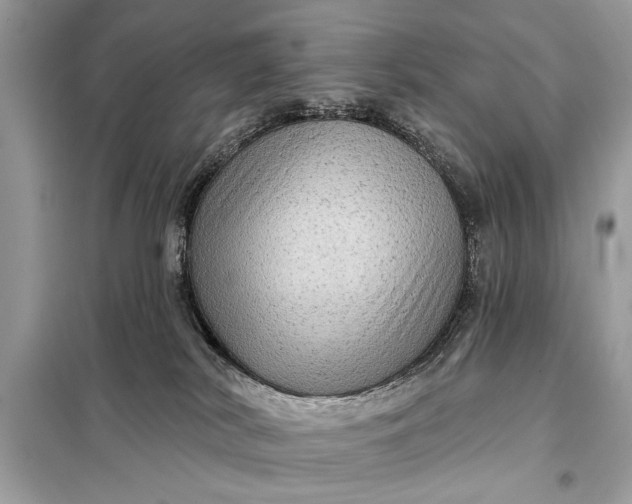 X0000098170038200805081011