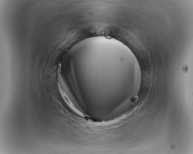 X0000098170039200805081011