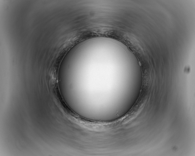 X0000098170040200805081011