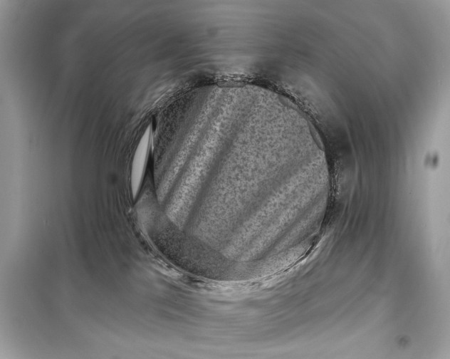 X0000098170041200805081011