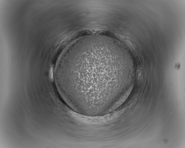 X0000098170042200805081011