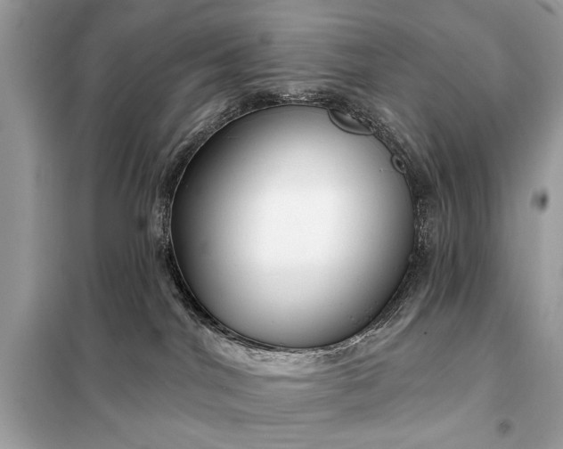 X0000098170044200805081011