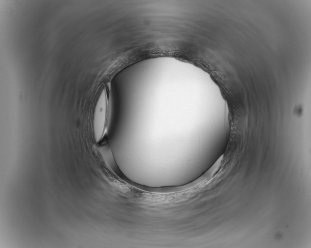 X0000098170045200805081011