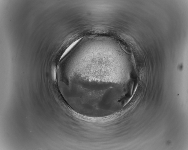 X0000098170046200805081011