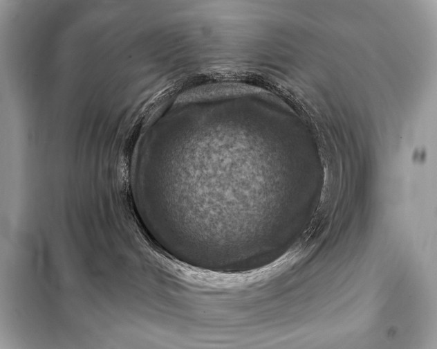 X0000098170048200805081011