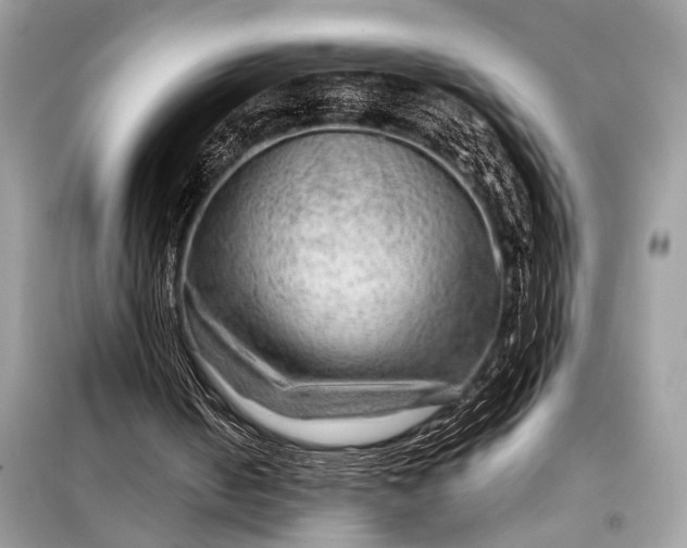 X0000098170050200805081010