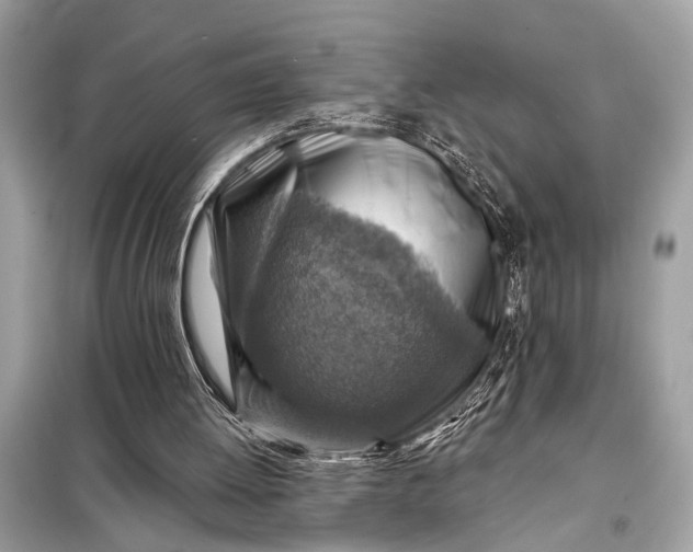 X0000098170052200805081010