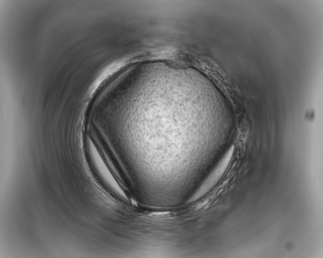 X0000098170054200805081010