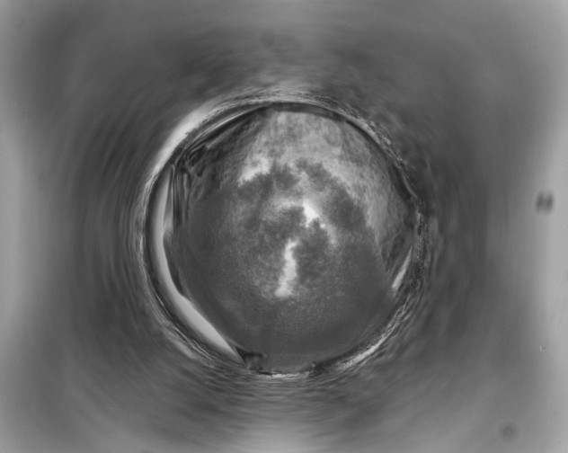 X0000098170056200805081010