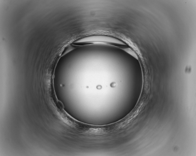 X0000098170057200805081010