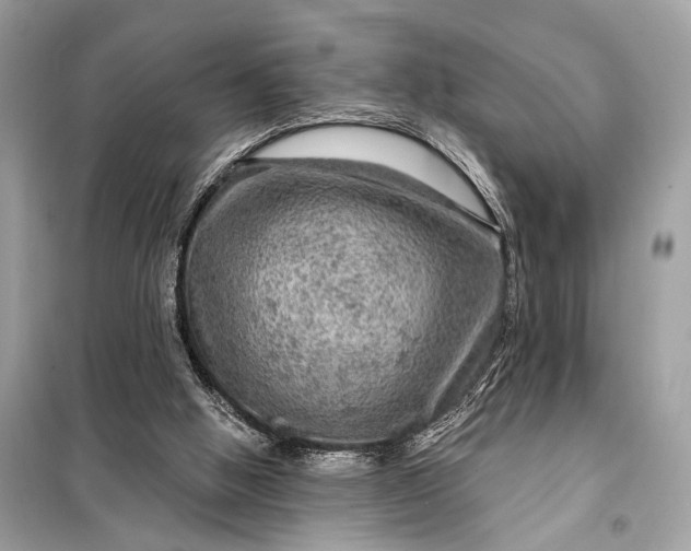 X0000098170058200805081010