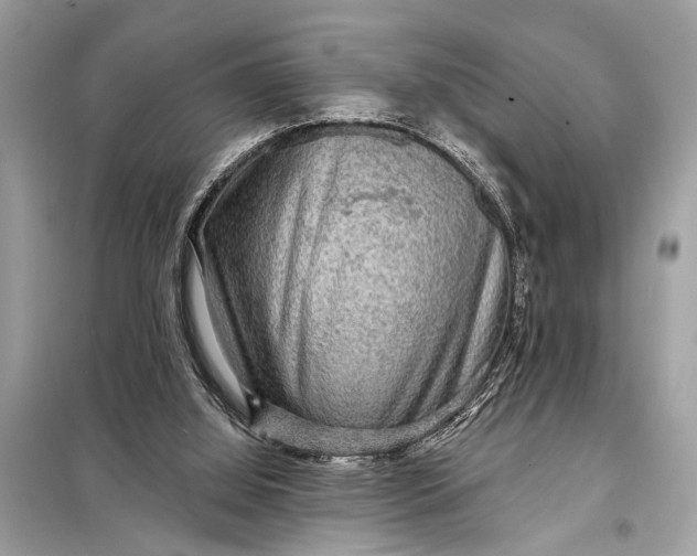 X0000098170060200805081010