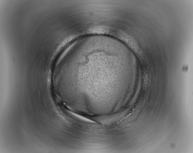 X0000098170064200805081010