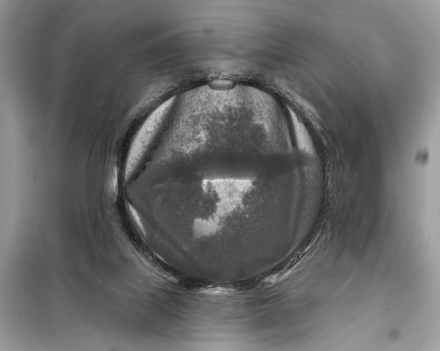 X0000098170067200805081010