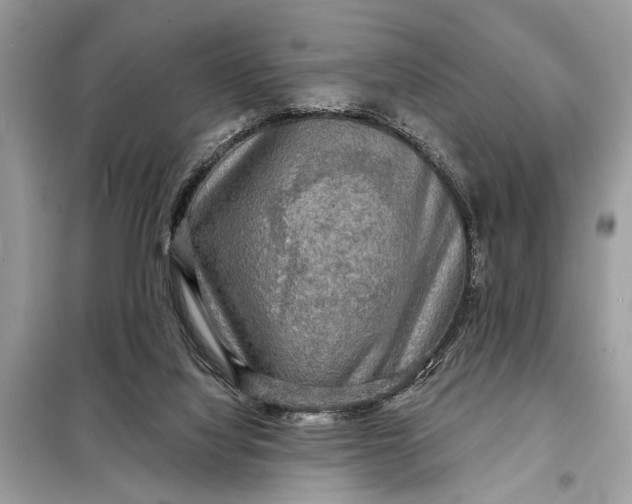 X0000098170068200805081010