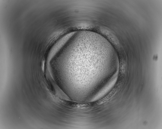 X0000098170070200805081010