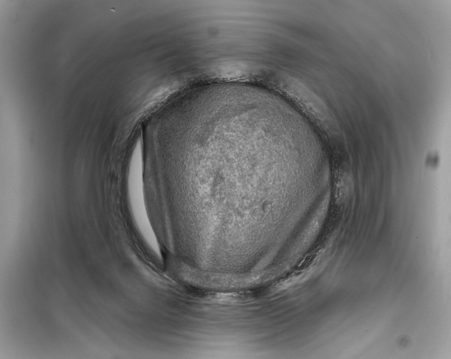 X0000098170072200805081011