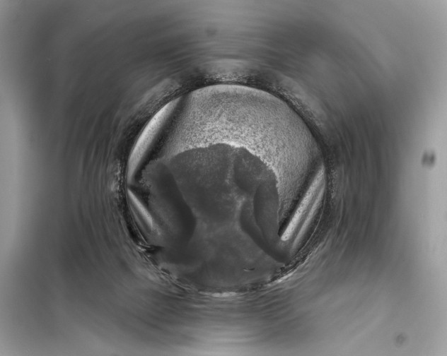 X0000098170073200805081011