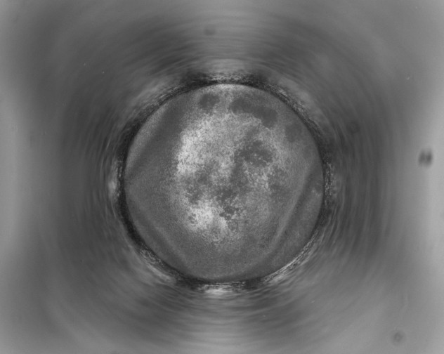 X0000098170074200805081011