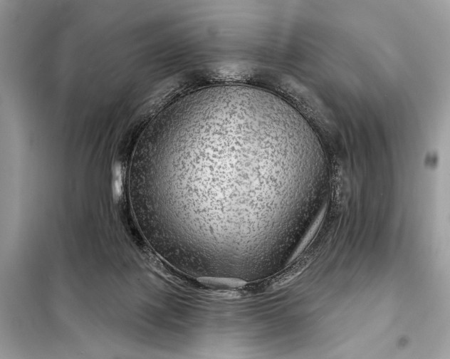 X0000098170075200805081011