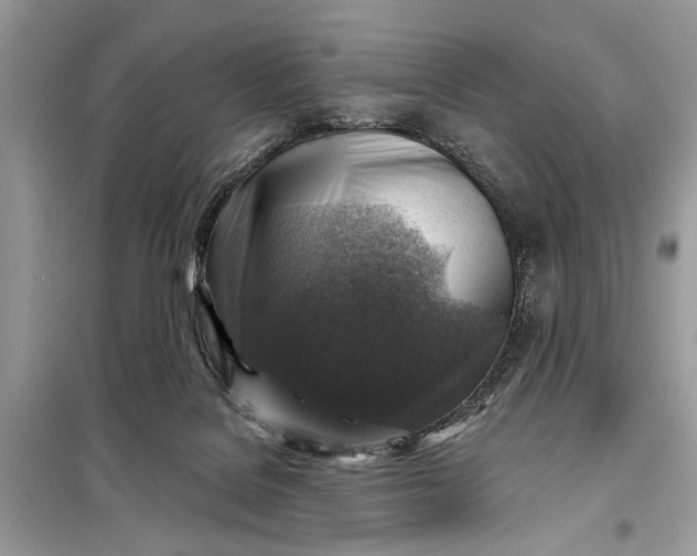 X0000098170076200805081011