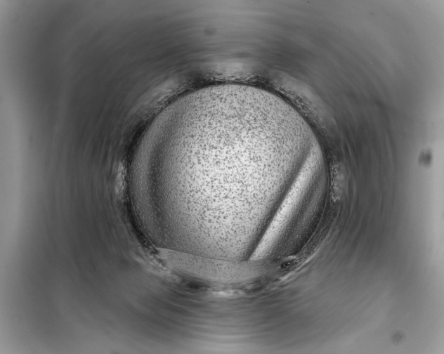 X0000098170077200805081011