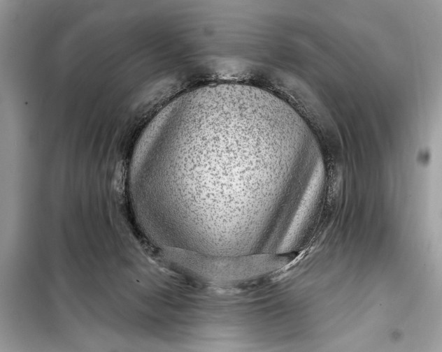 X0000098170078200805081011