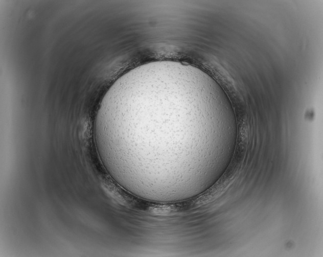 X0000098170079200805081011