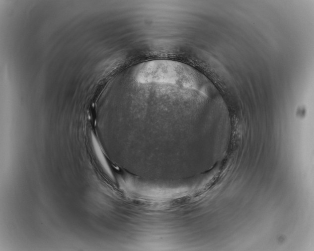 X0000098170080200805081011