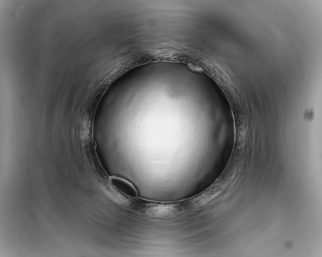 X0000098170081200805081011