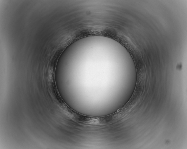 X0000098170083200805081011