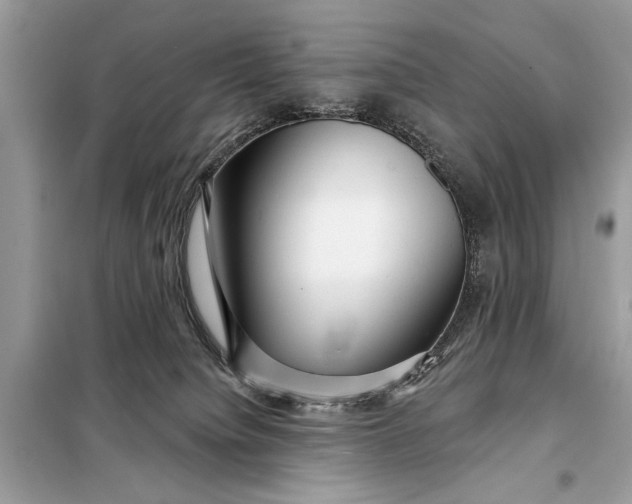 X0000098170084200805081011