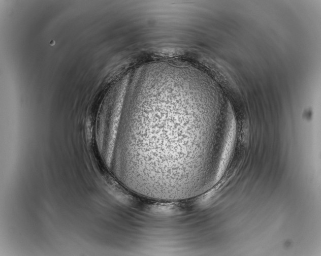 X0000098170086200805081011