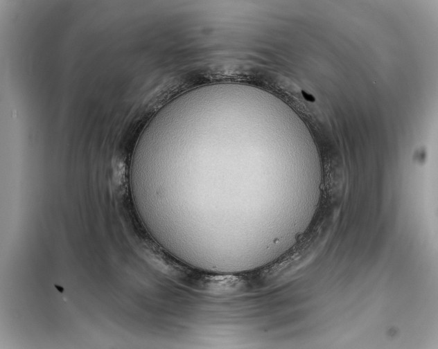 X0000098170087200805081011