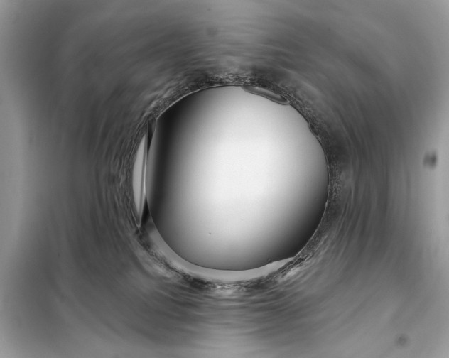 X0000098170088200805081011