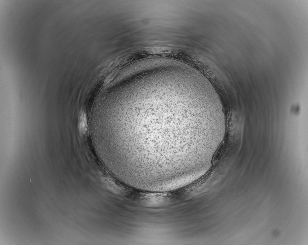 X0000098170089200805081011