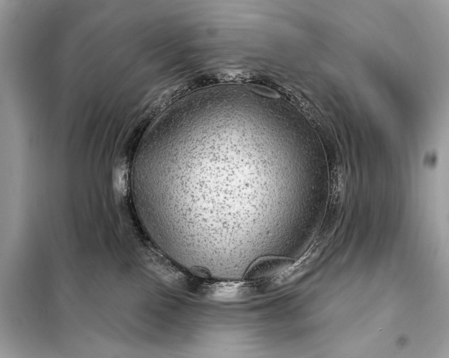 X0000098170090200805081011